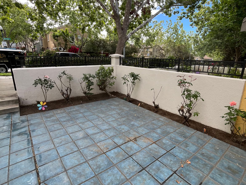 Courtyard corner after: tile swept clean, joints cleared, roses pruned back