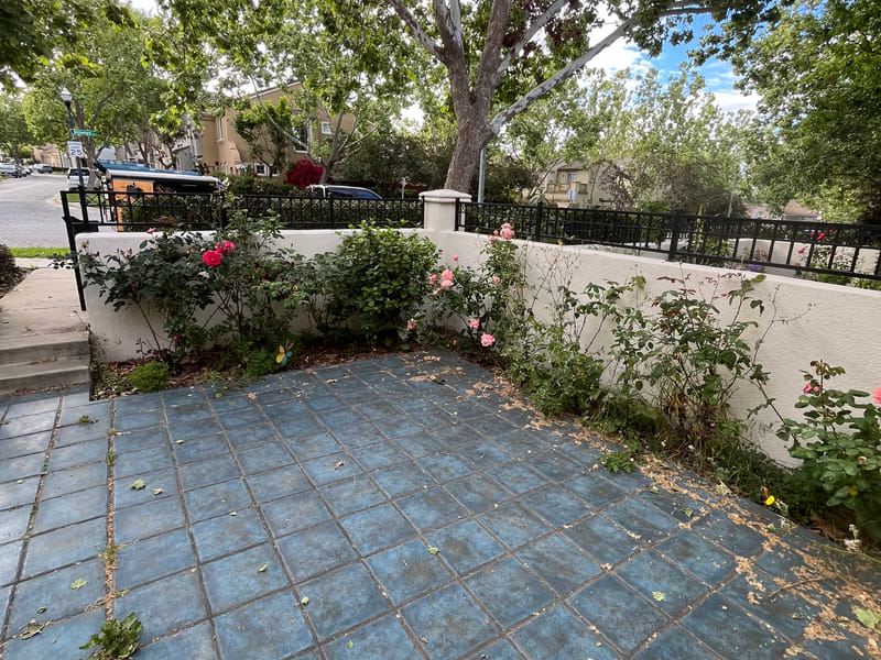 Courtyard corner before: leaf litter across the tile, weeds in the joints, roses sprawling over the wall