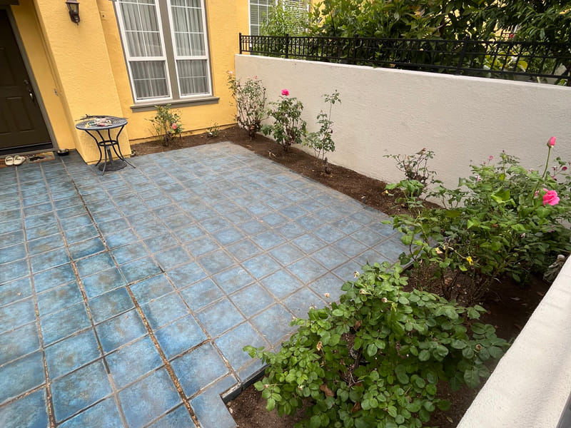 Wall planting after, trimmed back off the stucco
